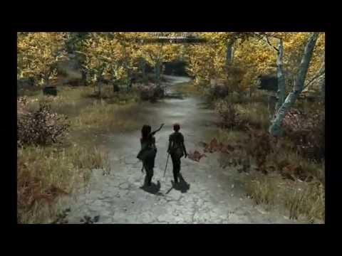 Followers as Companions II