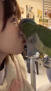 The sound they make 😭😭😭🥹 #birds #birdlife #monkparakeet #parakeet #viralvideo #kawaii | 𝕜𝕒𝕨𝕒𝕚𝕚 𝕒𝕖𝕤𝕥𝕙𝕖𝕥𝕚𝕔