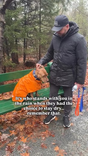 SPARK PAWS on Instagram: "Hard times don't create true friends, they reveal them! 🐶❤️🥰 #sparkpaws #sparkpawsofficial @markopolo902"