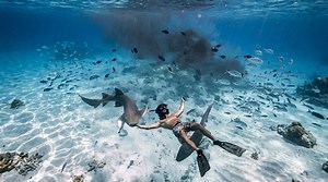 Watch what happens when this man gets bitten by a shark