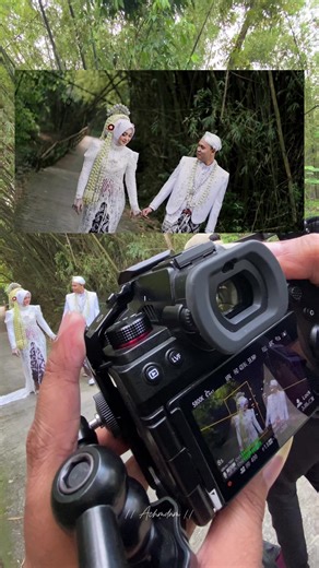 Lumix S5ii Review with Ttartisan 50mm Lens