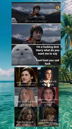 The Chosen One (and his emotional support owl)#harrypotter #1vs4 #memes #shorts #ytshorts #yt