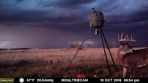 28K views · 109 reactions | To get better trail cam pics at your feeders, don't just think like a deer hunter—think like a photographer. #MoultrieCam #WorkHardHuntSmart | Moultrie Products | Facebook