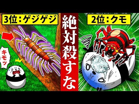 超キモイけど超絶役に立つ虫4選【アニメ】