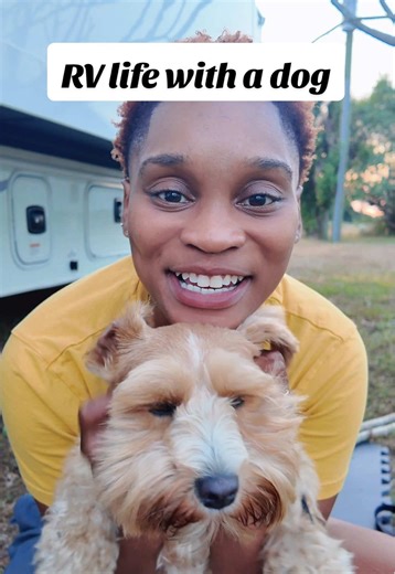 Essential Tips for RV Life with Your Dog