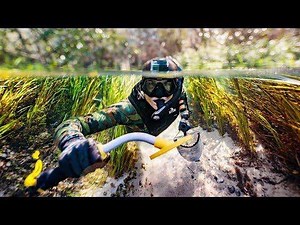 650K views · 926 shares | Looking for LOST JEWELRY underwater in Florida! ...Gotta be careful of alligators out here! | D ALL MY D | Facebook