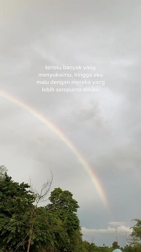 Stunning Rainbow Scenes Over Lush Greenery