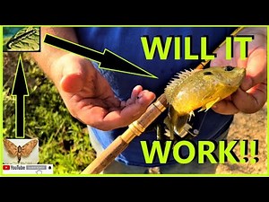 CATAWBA WORM (CATALPA) FISHING DO THEY WORK?