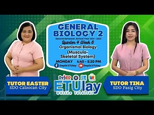 Musculo-Skeletal System || General Biology 2 || SHS Quarter 4 Week 6