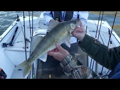 Kentucky River Sauger & Walleye