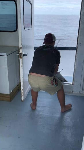 Deep Sea Fish Walk 🐟🛥️ #fishing #cobia #cootslurea | Coots Lures