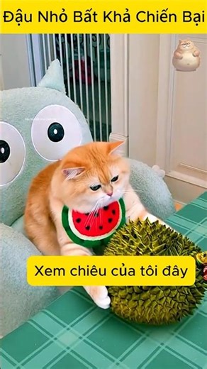 Tập 12: Cuộc thi trò Mèo 🐈