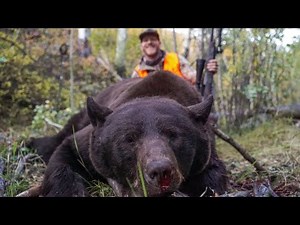 I Hunted BEAR & ELK For 8 Days in Colorado!