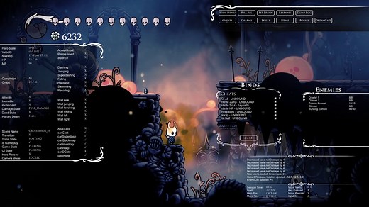 Instalar Debug Mod Hollow Knight