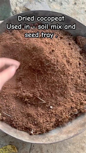 CocoPeat 🐿️ Everything about cocopeat #cocopeat #cocopet