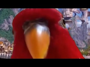 Who Wants To Go First?