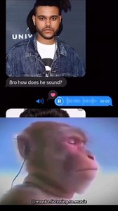 🥀🥀 Follow @monke.listening.to.music for more . . . #music #explore #trending #memes #monkememe | Monkelisteningtomusic