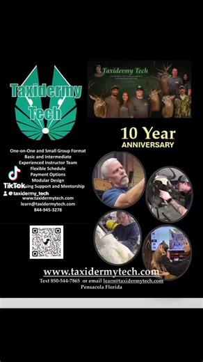 Learn Taxidermy: Discover Our Family Techniques