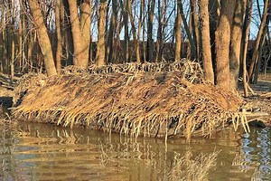 Upside Down Duck Boat Blind - Wildfowl