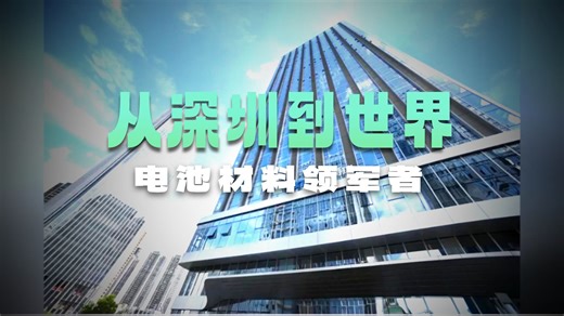 贝特瑞及董事长贺雪琴双双入选《深圳品牌发展白皮书》