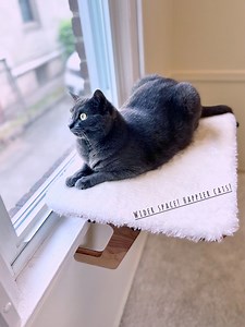 Wider Space, Oak Cat Window Perch, Easy Install, 21X15 - Etsy