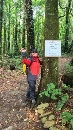 📍Queen Charlotte Track, Aotearoa, New Zealand 🚶‍➡️Endeavour Inlet ----> Punga Cove 🧳🍝🏡🛥️ Taken care of by Auswalk Paddy & Verity spent four days walking from lodge to lodge on the stunning Queen Charlotte Track. Join them on day three of the journey for an epic walk through thick native forests with endless views of the Marlborough Sounds. 🌴🌿 Explore the Queen Charlotte Track with all the creature comforts 👉 https://shorturl.at/Db2Y8 | Auswalk Walking Holidays
