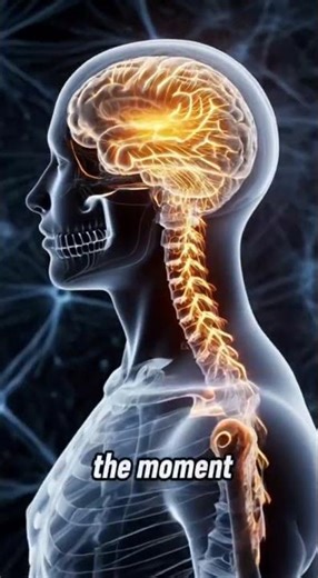 Déjà Vu Explained: Why Your Brain Thinks It’s Seen This Before