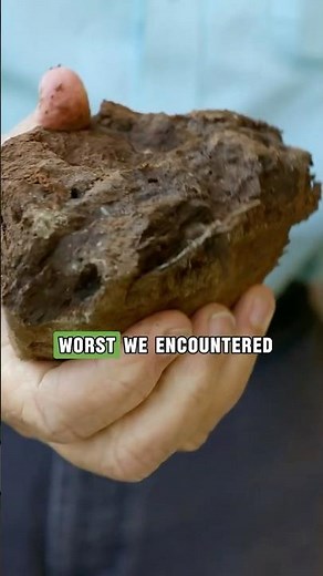 Compacted Soil Stopping You? Here's How to Fix It.