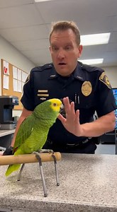 5K views · 151 reactions | Parrot VS Police Talking About /Funny Moment #funnymoments #police #parrot #viralvideo #funny | Parrot VS Police | Facebook
