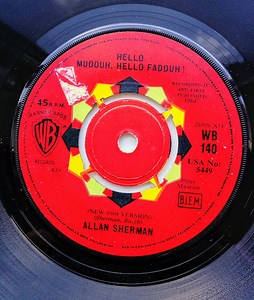Allan Sherman - Hello Muddah, Hello Fadduh! / You Need An Analyst