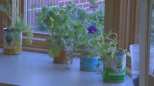 Middlebury school getting kids excited about eating veggies