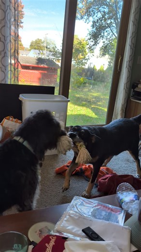 30 reactions · 4 comments | Maggie  has a friend staying over Erin FlanSati | Patrick Flannery | Facebook