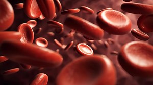 Download 3d rendering of red blood cells flowing through bloodstream in human body, close up medical illustration showing anatomy human body, circulation, oxygen transport, healthcare biology in for free