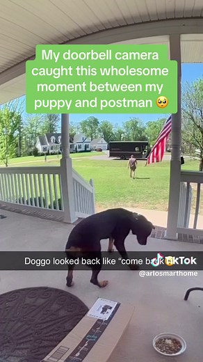 Celebrate National Postal Workers Day with Arlo Home Security