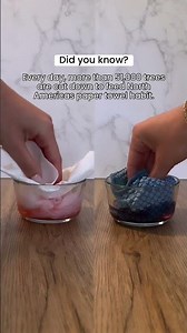 Paper Towels vs. Microfiber Counter Cloths