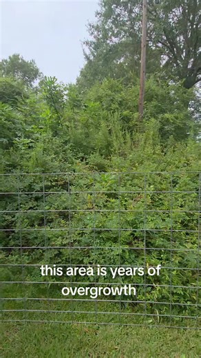 Goat Grazing Adventures in Pritchett, TX