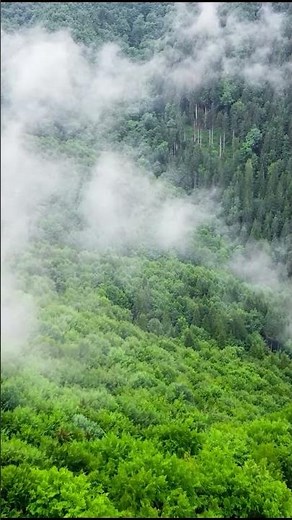 Beautiful Calming Music – Deep Sleep & Stress Relief, Inner Peace