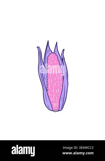 blinking radial lines animation of cartoon organic corn