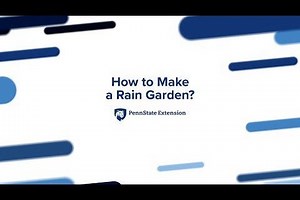 How to Make a Rain Garden