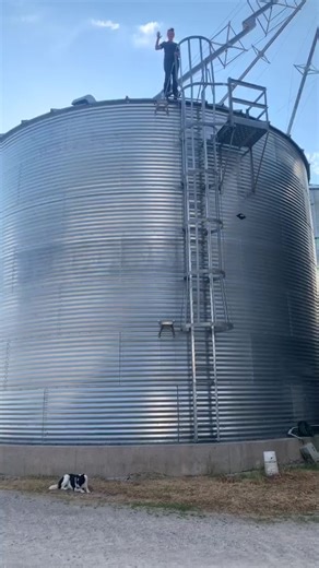 Sheepishly..me21 on Reels