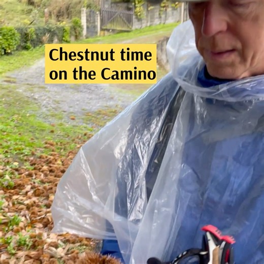 Chestnut time on the Camino means Fall is almost here. So yummy! | Camino Provisions