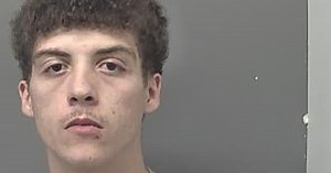 Man with cannabis around his neck smashed into tree in police chase
