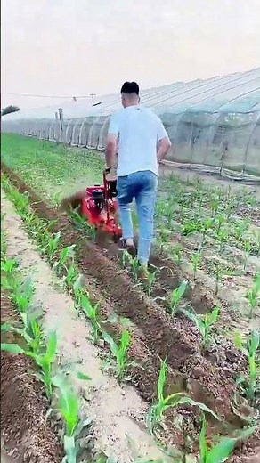 Ultimate Guide to Corn Planting with Small Micro-Tiller & Trencher
