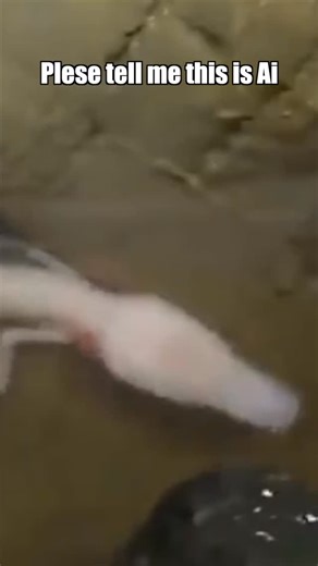 2K views · 172 reactions | The Olm is literally build DIFFERENT  | Oddchris | Facebook