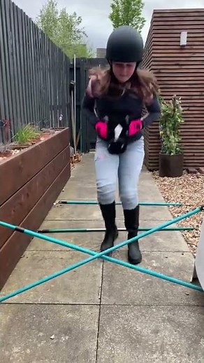 If Humans Were Horses