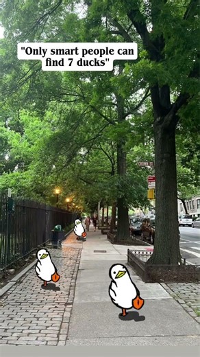 smart people can find all ducks..