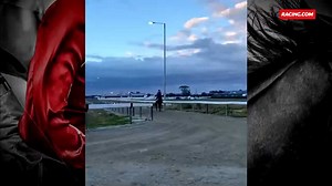 The stars are coming back... 🤩 Talented galloper, Incentivise, arrived at Peter Moody's Pakenham stables this morning ahead of the spring carnival. 😍 | Racing.com