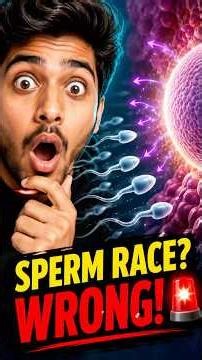 Sperm Race MYTH? What ACTUALLY Happens Inside! 🤯”