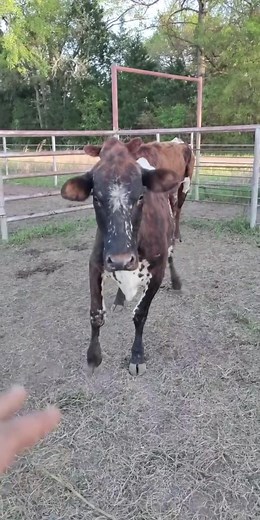 #pimpinainteasy #sendbeer #rankbitch #grasspuppy #shesfriendly #letmepetyou