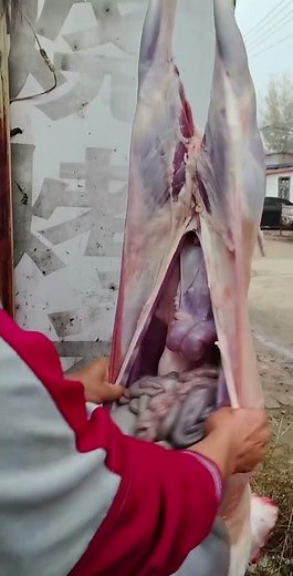 How to cut whole lamb - Butcher Skills: Mastering the Whole lamb